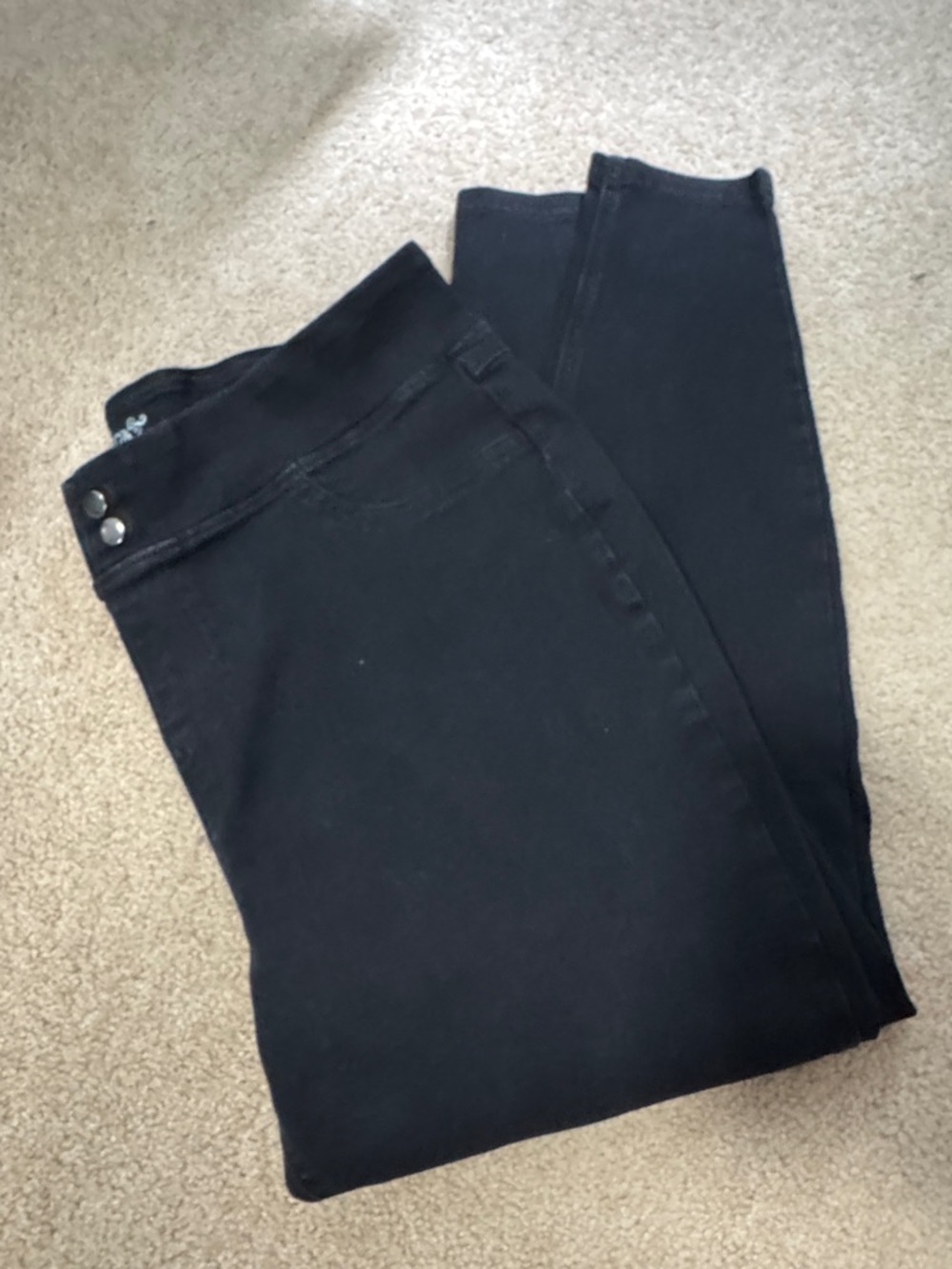 Terra & Sky Black Stretch Skinny Jeggings size 1x